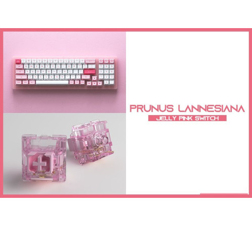 Клавиатура Akko ACR 98 Mini Prunus Lannesiana Akko CS Jelly White