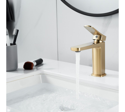 Смеситель Shevanik S9901G