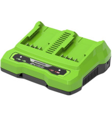 Зарядное устройство Greenworks G24X2UC2 2x24В