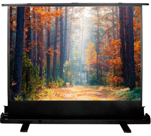 Проекционный экран CACTUS FloorExpert 90x160 CS-PSFLE-160X90