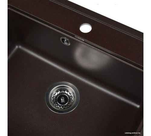 Кухонная мойка Wisent 600-27W с сифоном GER013