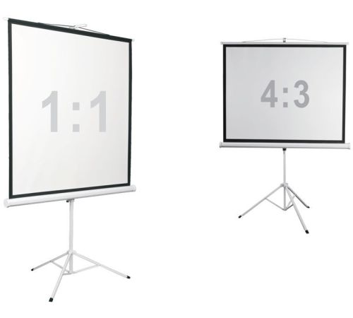 Проекционный экран Digis Kontur-D 248x250 DSKD-1108