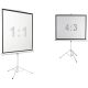 Проекционный экран Digis Kontur-D 248x250 DSKD-1108