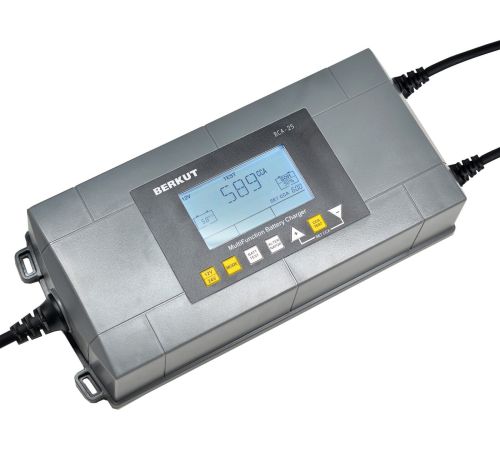 Зарядное устройство Беркут BCA-25