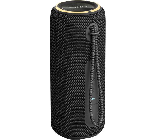 Беспроводная колонка Aiwa PAS-H200 черный