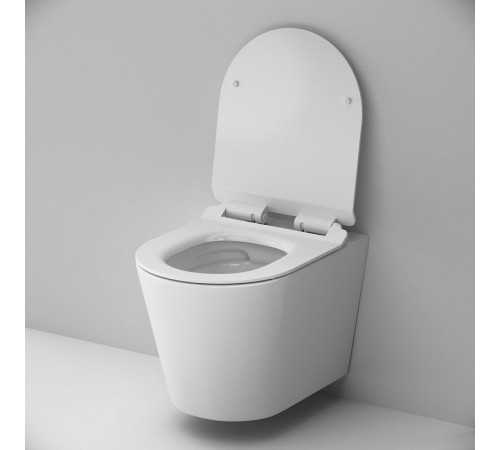 Унитаз подвесной AM.PM Sunny Flashclean C85C1701SC с сиденьем