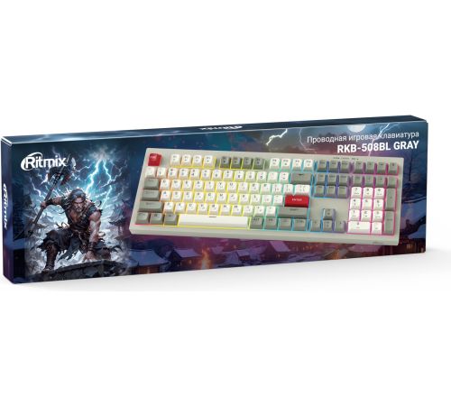 Клавиатура Ritmix RKB-508BL серый/белый