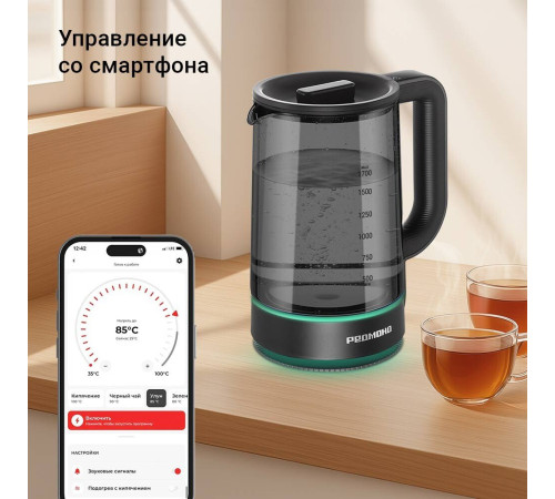 Электрический чайник Redmond Редмонд KG259S черный/тонировка