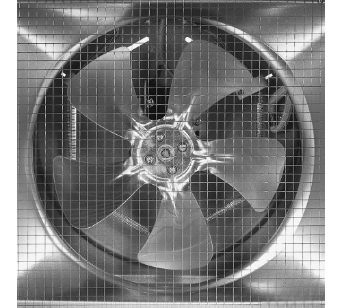 Сушилка для овощей и фруктов Kitfort KT-4931