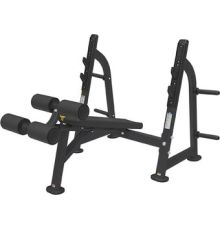 Силовая скамья Bronze Gym BR-1013