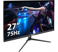 Монитор ExeGate ProSmart EZ2707A EX296348RUS