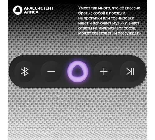 Умная колонка Яндекс Станция Стрит серый