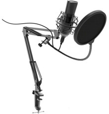 Микрофон Ritmix RDM-180