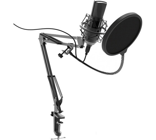 Микрофон Ritmix RDM-180