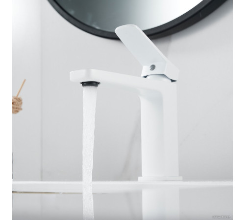 Смеситель Shevanik S9901C