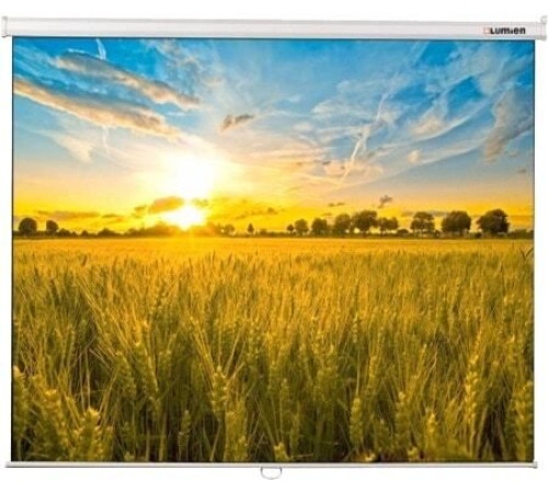 Проекционный экран Lumien Eco Picture 153x203 LEP-100113