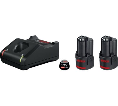 Аккумулятор с зарядным устройством Bosch GBA 12V + GAL 12V-40 Professional 1600A019R8 12В/2 Ah + 12В