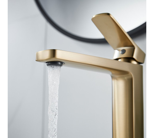 Смеситель Shevanik S9911G