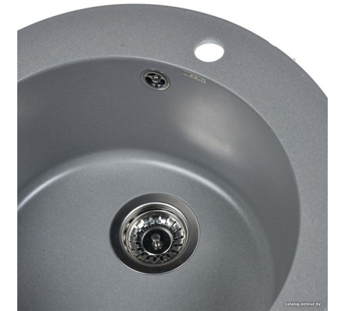 Кухонная мойка Wisent 510-29WR с сифоном GER013