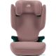 Детское автокресло Britax Romer Discovery Plus 2 dusty rose