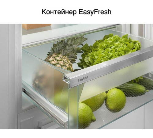 Холодильник Liebherr ICf 5103 Pure