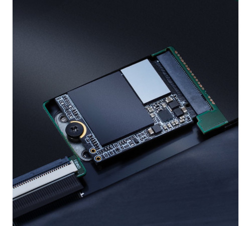 SSD ADATA XPG Gammix S55 512GB SGAMMIXS55-512G-C