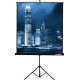 Проекционный экран Lumien Master View 183x244 LMV-100108