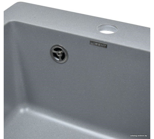 Кухонная мойка Wisent 420-29W с сифоном GER013