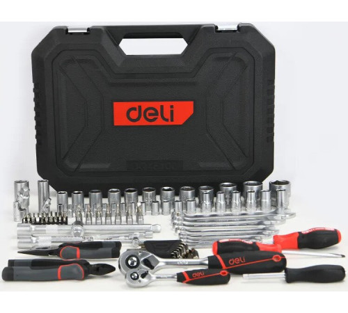 Универсальный набор инструментов Deli EDQ45100 100 предметов