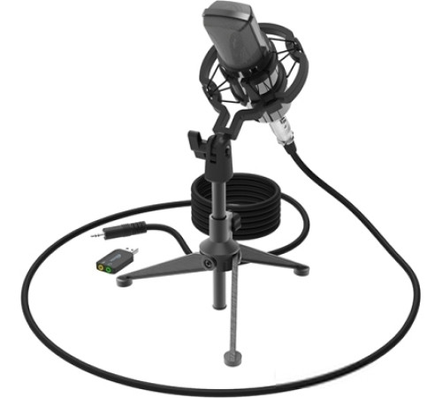 Микрофон Ritmix RDM-160