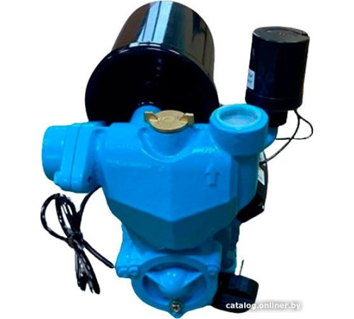 Самовсасывающий насос Greenpump WZ 370