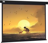 Проекционный экран CACTUS Wallscreen 150x150 CS-PSW-150X150-BK