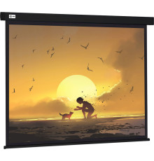 Проекционный экран CACTUS Wallscreen 150x150 CS-PSW-150X150-BK