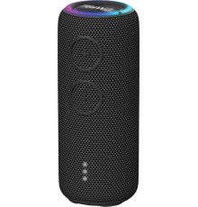 Беспроводная колонка Aiwa PAS-H200 черный