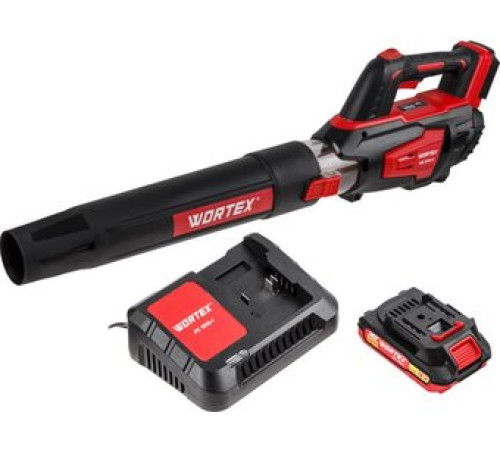 Ручная воздуходувка Wortex BB 2018 D ALL1 XLT Set 1333739 с 1-им АКБ