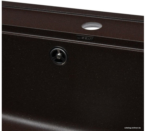 Кухонная мойка Wisent 600-27W с сифоном GER013