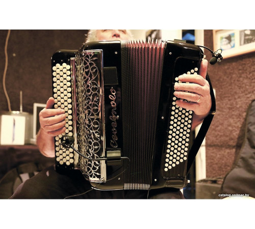 Комплект проводных микрофонов Prodipe AL21 Romanelli Accordion