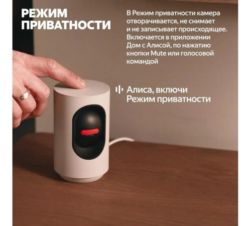 IP-камера Яндекс YNDX-00582GRY