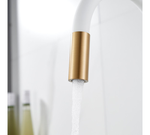 Смеситель Shevanik S668G