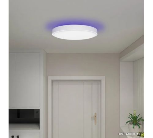 Светильник-тарелка Yeelight Arwen Ceiling Light 550S YLXD013-A