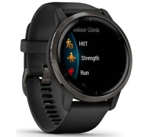 Умные часы Garmin Venu 2 сланцевая нержавеющая сталь/черный