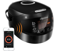 Мультиварка Redmond Редмонд SkyCooker RMC-M92S