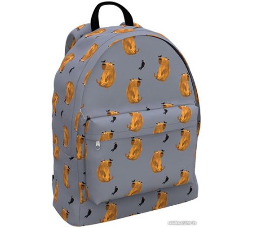 Школьный рюкзак Erich Krause EasyLine 17L Capybara 60331