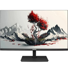 Монитор RDW Computers 2401K/F00В3100V2A1H