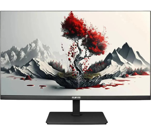 Монитор RDW Computers 2401K/F00В3100V2A1H