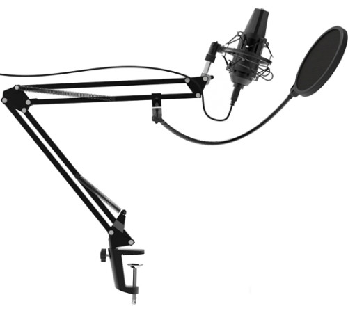 Микрофон Ritmix RDM-180