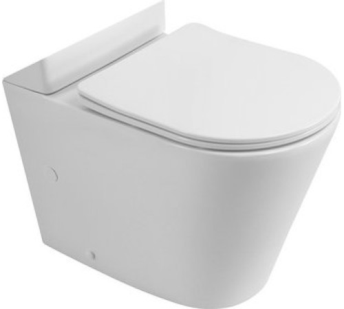 Унитаз напольный BelBagno BB2149CPR/SC с сиденьем