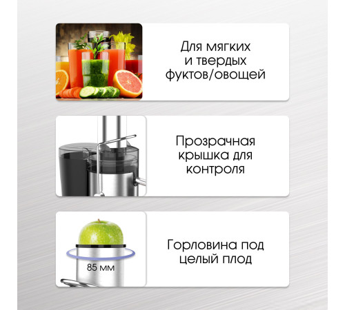 Соковыжималка Zigmund & Shtain EJ-756