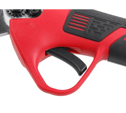 Секатор Wortex CBS 2030-1 1334890 с 1-им АКБ