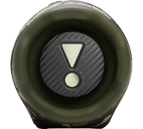 Беспроводная колонка JBL Charge 6 камуфляж